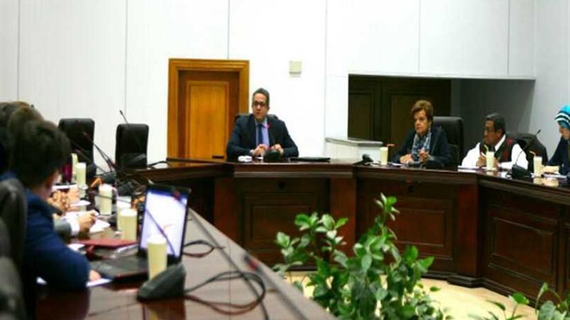 العناني يبحث أحدث