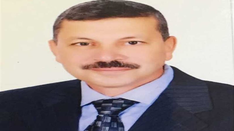 محمد عبد المنعم أمينا