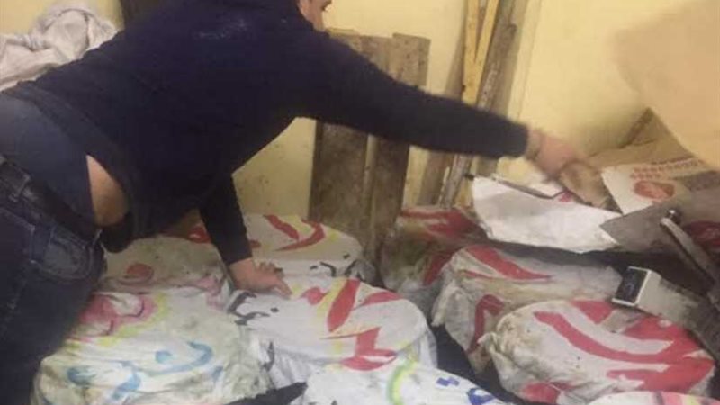 ضبط 800 كيلو فسيخ