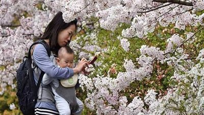 يابانية تستغيث بعدما حملت 