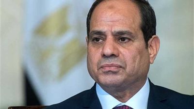 السيسي يشدد على إقامة الدولة الفلسطينية بحدود 67