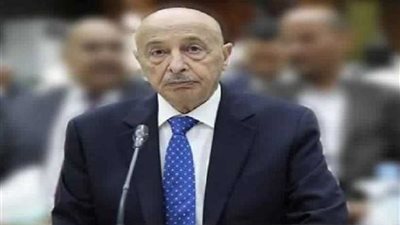 رئيس النواب الليبي: بعض الدول تدعم الإرهاب في ليبيا