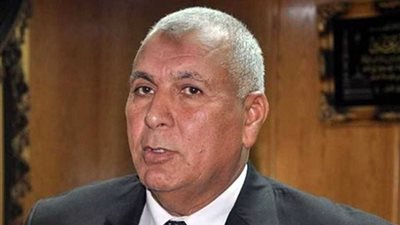 محافظ الوادي الجديد: فتح المواقع الأثرية في أعياد الربيع