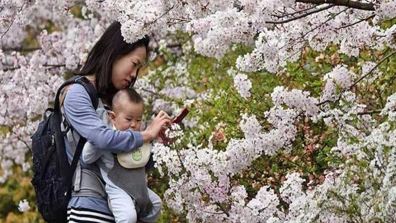 يابانية تستغيث بعدما