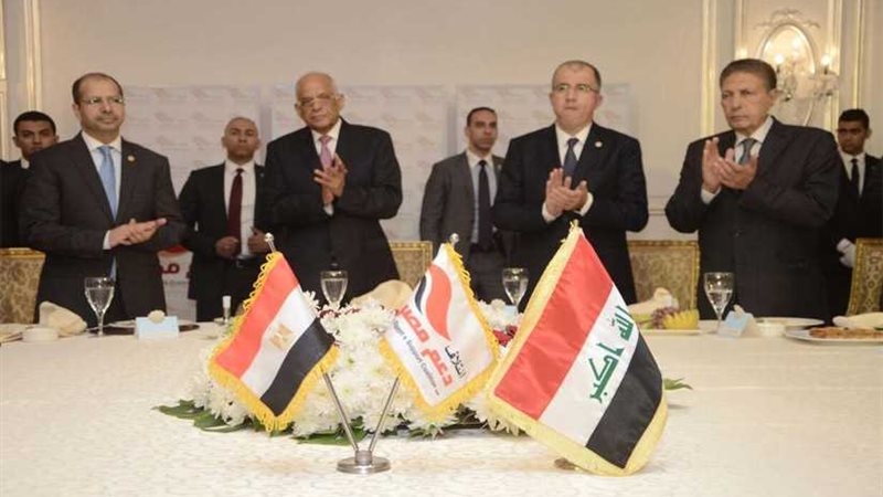 رئيس ائتلاف دعم مصر