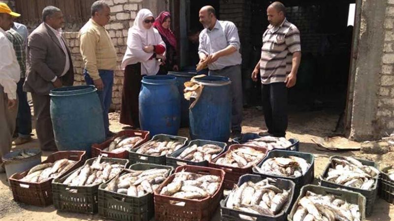 إعدام 2 طن أسماك