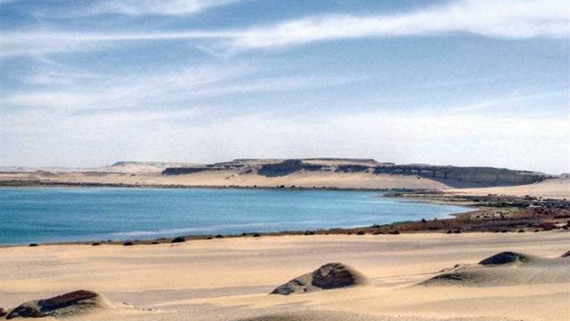 العلميين تبحث مشاكل