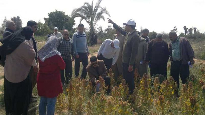 بالصور..حملة لنشر