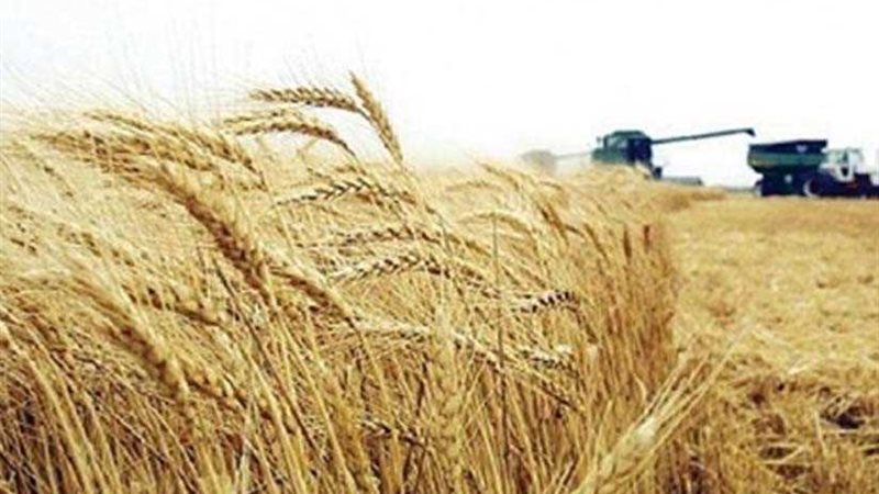 زراعة أسيوط تنهي