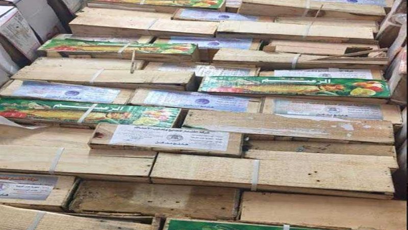 ضبط 2 طن رنجة فاسدة