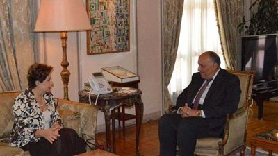 شكري يستقبل سكرتير اتفاقية تغير المناخ لتعزيز التعاون