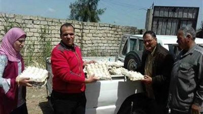 ضبط 4000 بيضة فاسدة وطن ونصف رنجة غير صالحة بكفر الشيخ (صور)