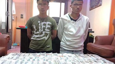 حارس عقار وسايس يسرقان ربة منزل في الظاهر