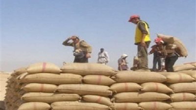 تجهيز 50 شونة لاستقبال محصول القمح الجديد بالمنيا