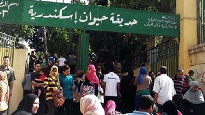 حديقة حيوان الإسكندرية تستعد لشم النسيم