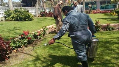 الدقهلية تقاوم حشرات الحدائق