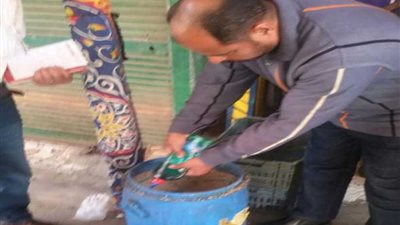 إعدام 1000 كيلو أسماك فاسدة بالدقهلية