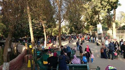 قوافل طبية تصرف الدواء مجاناً للمواطنين في احتفالات شم النسيم (فيديو)