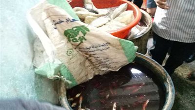 ضبط 5 مصانع بدون ترخيص و6 أطنان فسيخ ورنجة بالبحيرة