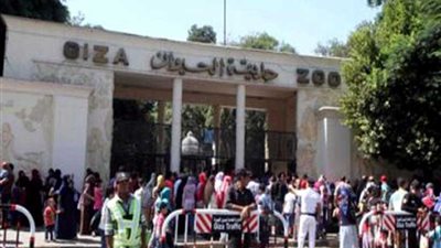 148 ألف زائر لحديقتي الحيوان بالجيزة والإسكندرية