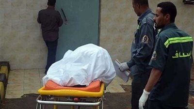 تفحم طفلة في حريق منزل بأجا