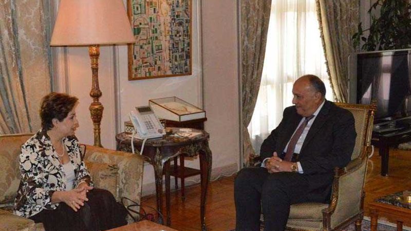 شكري يستقبل سكرتير