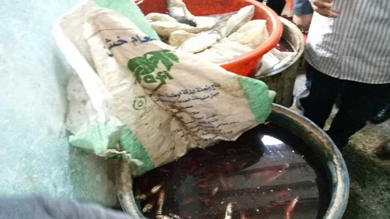 ضبط 5 مصانع بدون