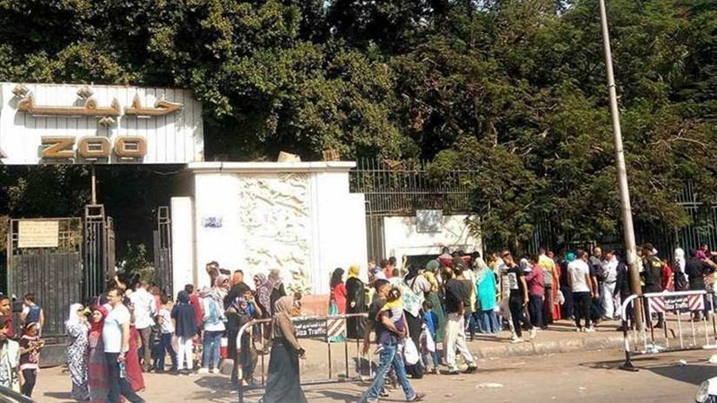 رجائي: 85 ألف زائر