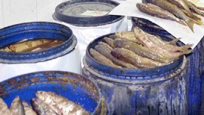 ضبط 1.8 طن أسماك