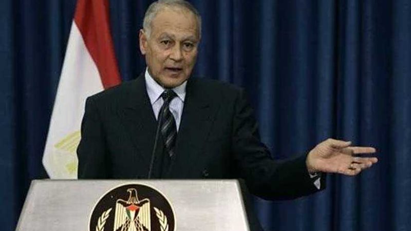 أبو الغيط ينعي ضحايا