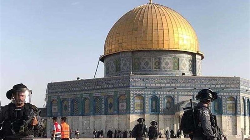 مايو المقبل.. تعرَّف