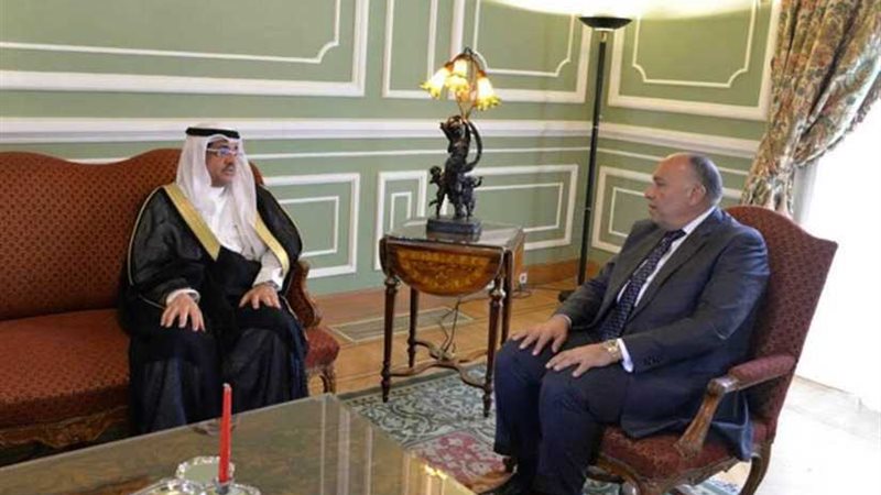 شكري يبحث مع وزير