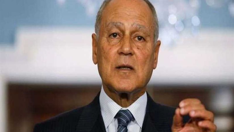 أبو الغيط يشارك في