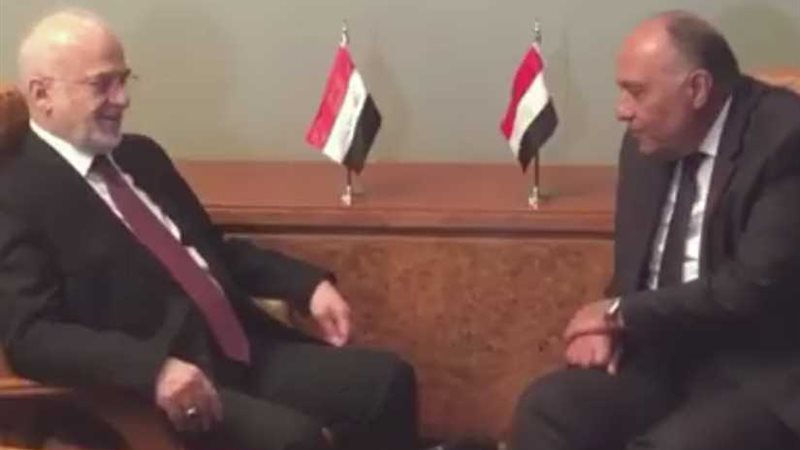 شكري يجري مباحثات