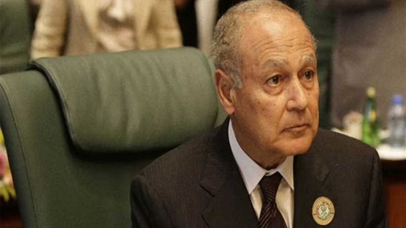 أبو الغيط يلتقي وزير