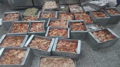 ضبط حمام مجهولة الهوية في الجمالية