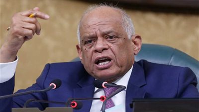 عبدالعال: لا مفر من إقرار موازنة الأداء و