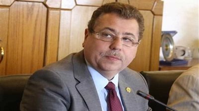 برلماني يطالب بموقف حاسم ضد العدوان على سوريا