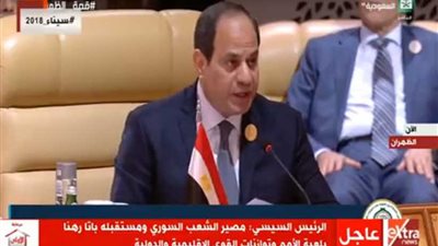 السيسي: القضية الفلسطينية أوشكت على الضياع بسبب قرارات دولية غير مفعلة (فيديو)