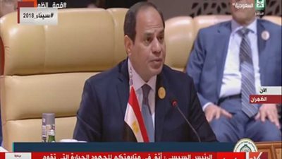 السيسي: نطالب بتحقيق دولي حول استخدام الأسحلة الكيماوية في سوريا (فيديو)