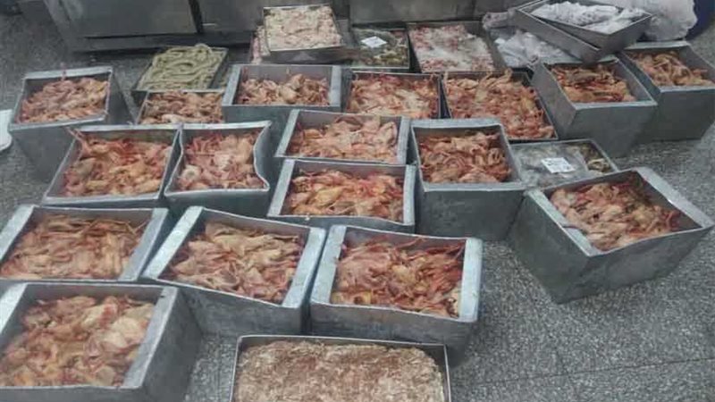 ضبط حمام مجهولة الهوية