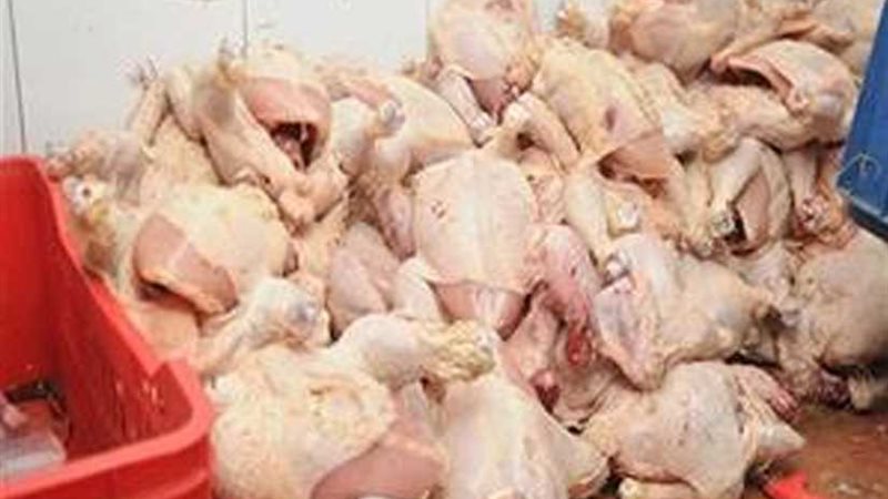 ضبط 9 أطنان دواجن