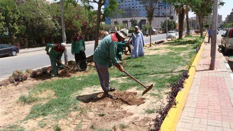 تطوير سوق المنهل