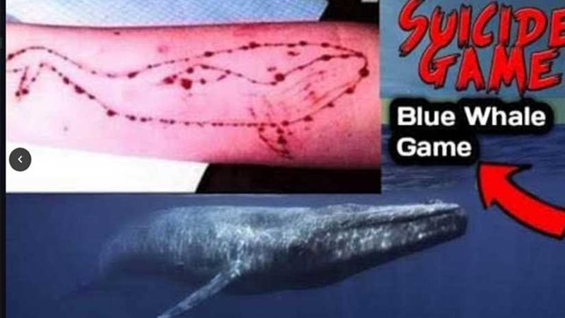 الحوت الأزرق ومريم