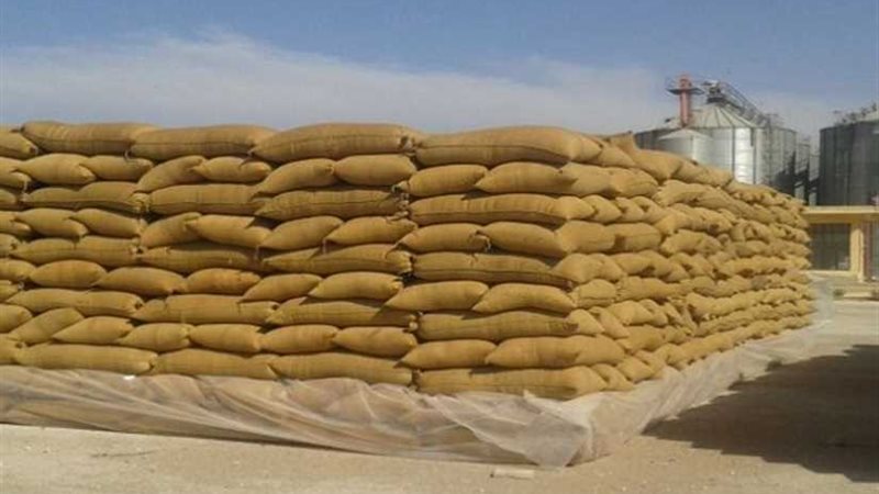 توريد 955 طن قمح