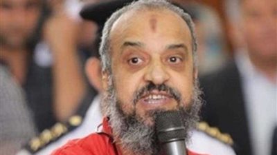 السجن سنة للبلتاجي بتهمة تعطيل سير الجلسة والفصل في القضية