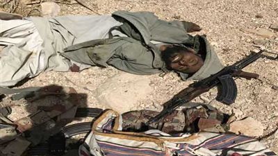 القضاء على أمير التنظيم الإرهابى بوسط سيناء