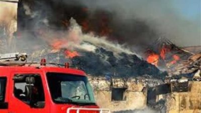 السيطرة على حريق بمزرعة دواجن في طنطا