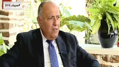 سامح شكري: نهتم باستعادة علاقتنا مع الأفارقة لتحقيق التكامل (فيديو)