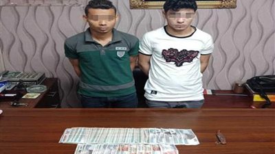 أمن القاهرة يضبط سارقي مخرجة تليفزيونية في عابدين